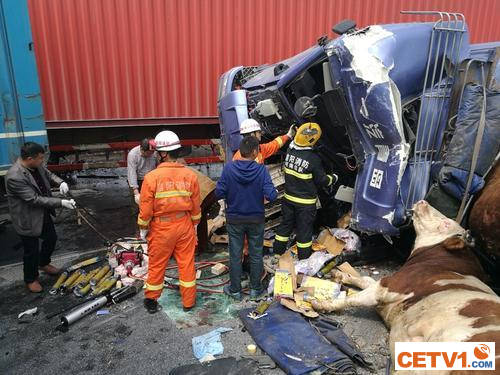 信阳息县大广高速多点汽车相撞 致7人死亡